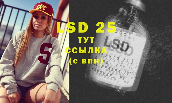 шишки Ельня