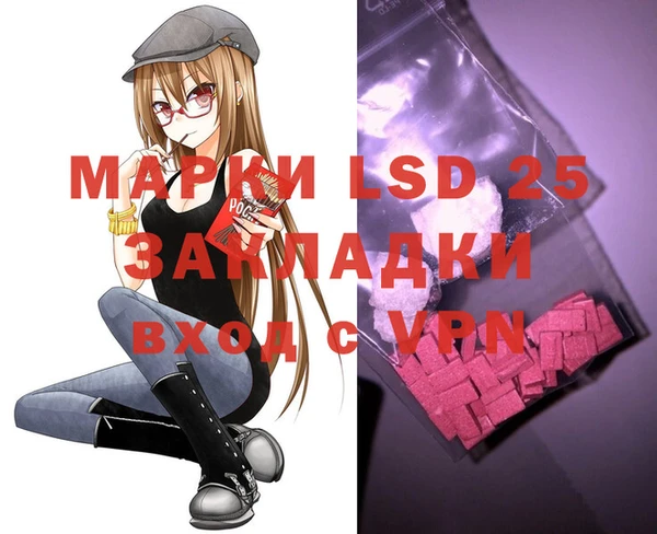 шишки Ельня