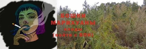 дурь Заводоуковск