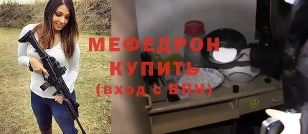 шишки Ельня
