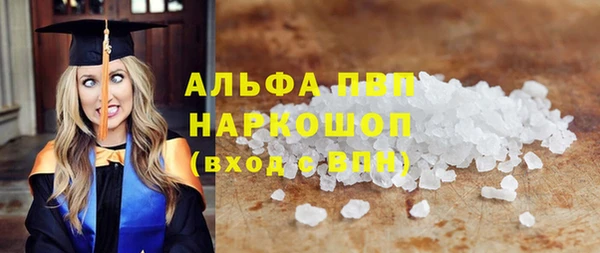 шишки Ельня